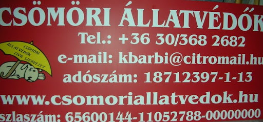 csomor.JPG