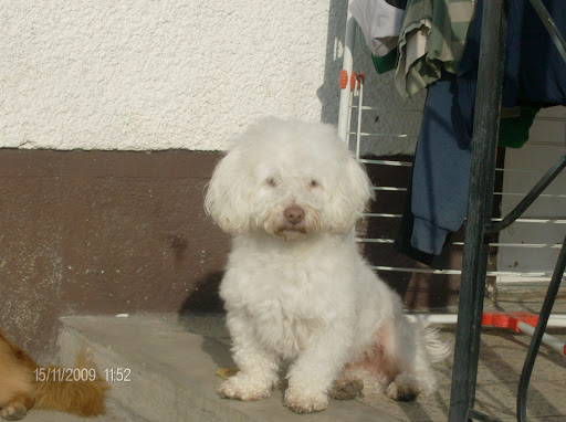 Tami%20054.JPG