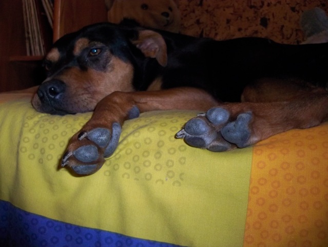 Imagen