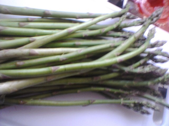 [asparagus[5].jpg]