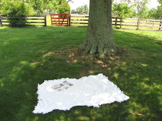 [fireplace 026[4].jpg]