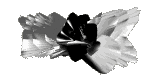 0s9bf7ml.gif