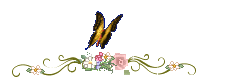 20080301182755691.gif