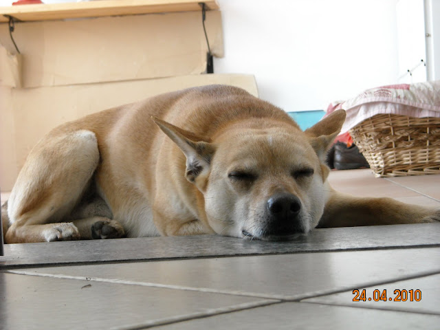 DSCN0069.JPG