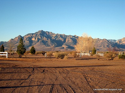 View of Chiricahuas from our site.