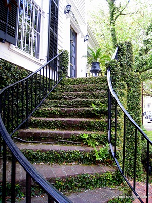 A Savannah stairway