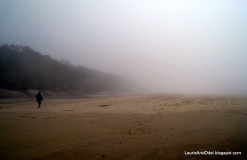A foggy walk on Beverly Beach