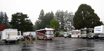 Brookings Elks parking on a wet morning.