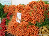 Pile of Carrots at Eugene Farmers Market