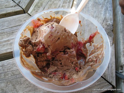 Locally made Moomers ice cream: double chocolate with locally grown cherries.