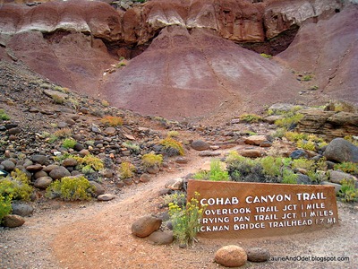 Beginning of the Cohab Canyon Hike