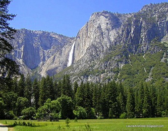 What we expected to see in Yosemite