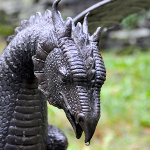 Dragon 0.1