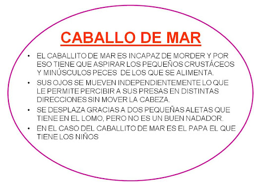 caballo de mar. Ficha de caballo de mar para