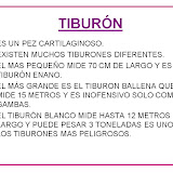 Diapositiva28-1.JPG