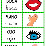 partes del cuerpo.jpg
