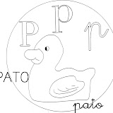 p.jpg