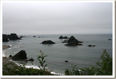 Harris State Park 4- Brookings OR