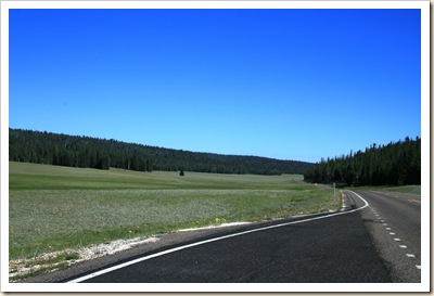 Meadow on Hwy 67 - Kaibab Natl Forest