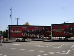 [Budweiser Clydesdales at McChord AFB, WA 015[2].jpg]