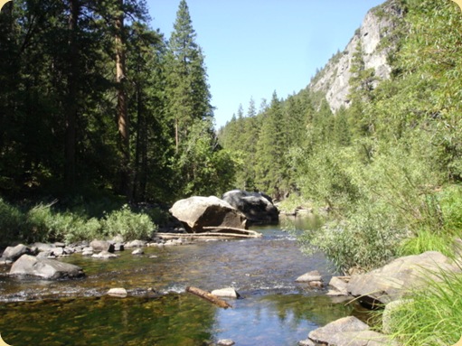 Yosemite National Park, CA 100