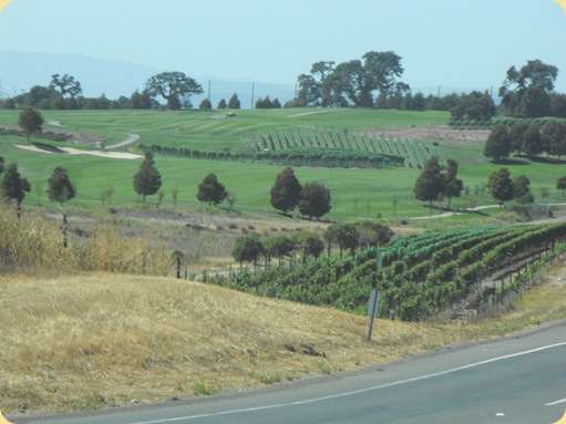 Napa Valley Vineyards 170