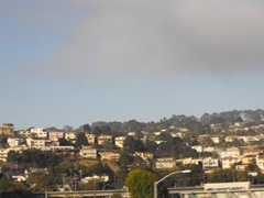 [A Day in San Francisco, CA 277[2].jpg]