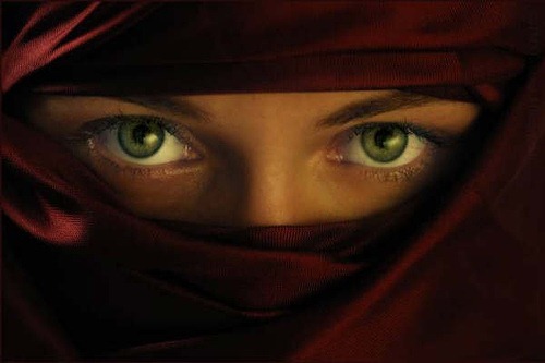 [ojos_burka_niqab[4].jpg]
