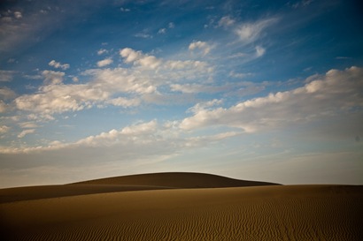 Abu Dhabi Desert Landscape (6 of 6)