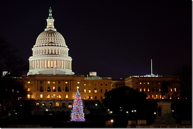 Capitol Christmas Tree at Night