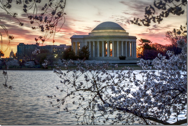 Washington Cherry Blossoms at Sunrise-5