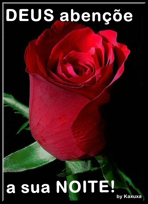 rosas7.jpg