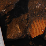 Fragment d'àmfora oriental incrustat a l’argila del rebliment del mur. visigot 3.JPG