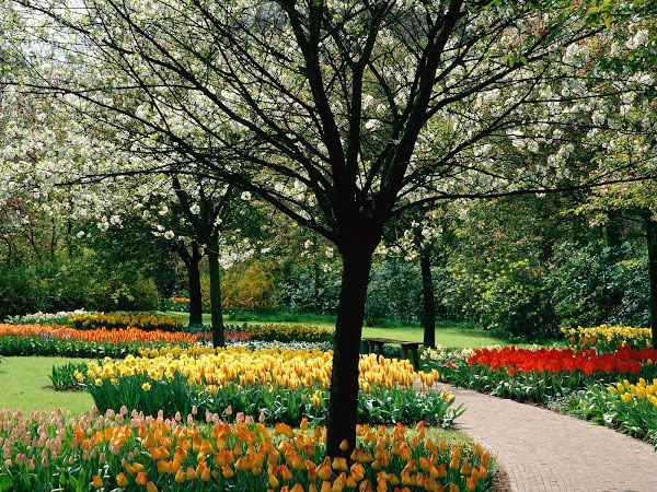 parque-de-tulipas_647_1600x1200.jpg
