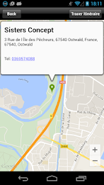 Sisters Concept poster 10