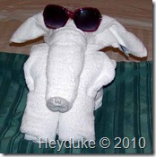 elephant towel