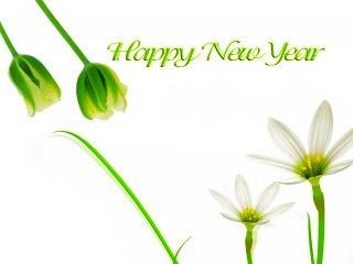 [Happy New Year 2011_32572.jpg_thumb[5].jpg]