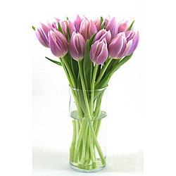 [tulips[2].jpg]