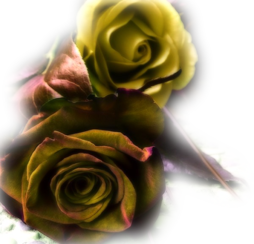 729049.png