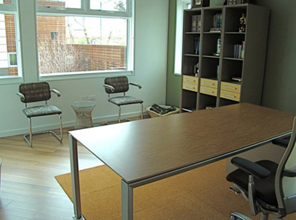 work room interior design in green residential