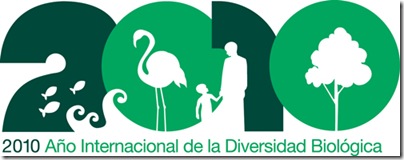 IYB2010_Logo_Spanish_sm