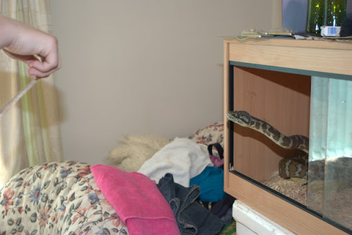 DSC_0306.jpg
