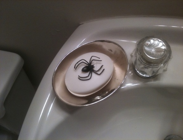 spidersoap