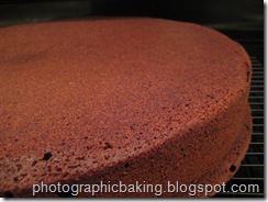 Close up of chocolate cake