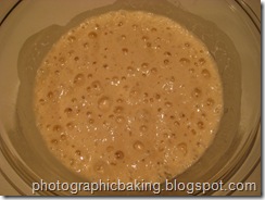 The sponge after fermenting