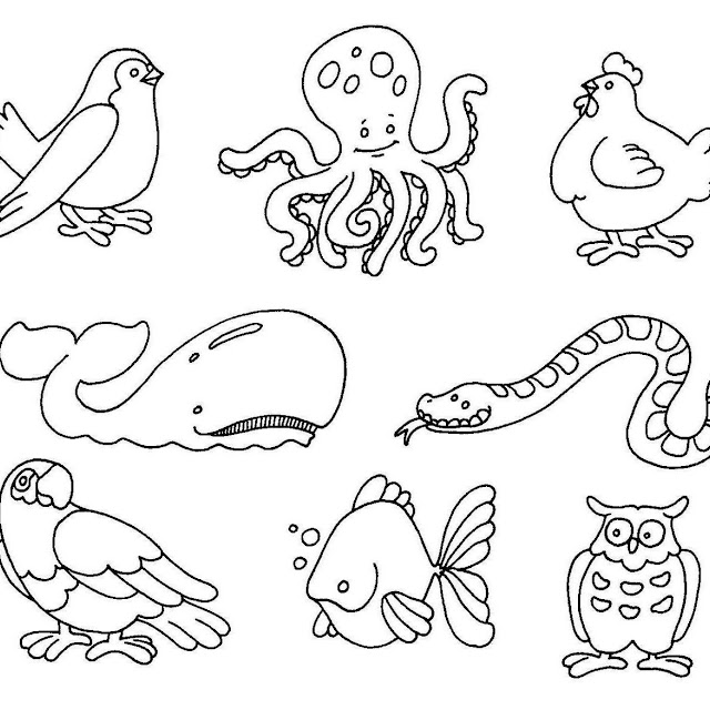 Dibujos De Animales Para Colorear Para Ninos De Primaria