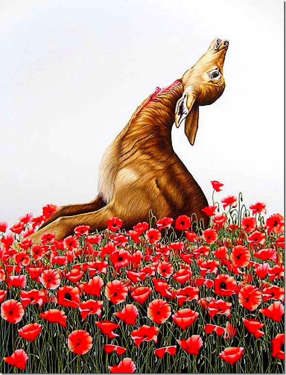 Emily Roz. Gazelle with Poppies, 2008. Colored pencil on paper, 22 x 30.