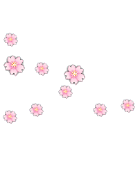 dsc2.png