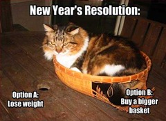 [funny-new-year-s-resolutions[16].jpg]
