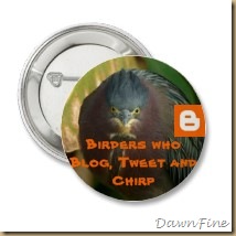 birders_who_blog_tweet_and_chirp_button-p145664733167229518tmn2_210